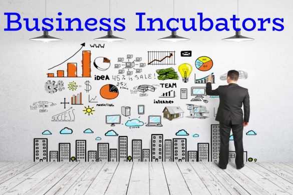 Business Incubators – Objectives, Structured and More (1)