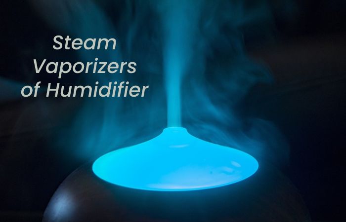 Steam Vaporizers of Humidifier