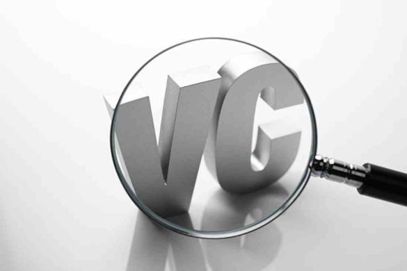 Venture Capitalist