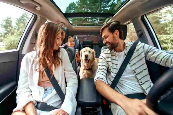 Top Suggestions for Sending Your Automobile without Anxiety